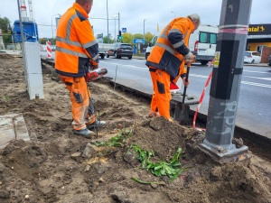 Poprawa infrastruktury rowerowej na ul. Dmowskiego