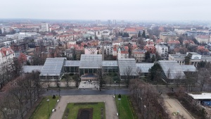 Palmiarnia widziana z perspektywy drona