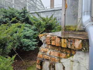 Aktualny stan budynku Palmiarni Poznańskiej