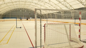 Hala Sportowa WIlda