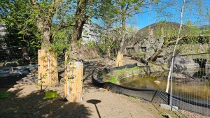 Plac budowy widziany od strony głównej ściezki