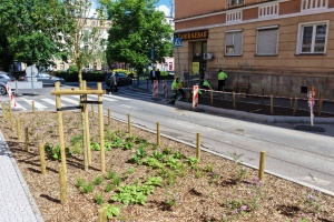 Pracownicy podczas sadzenia nowej zieleni