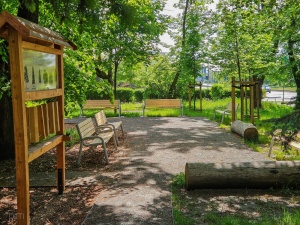 zagospodarowanie terenu przyszkolnego, dendrofon 