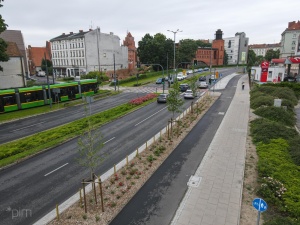 Nowe drzewa wzdłuż drogi rowerowej na ul. Małe Garbary