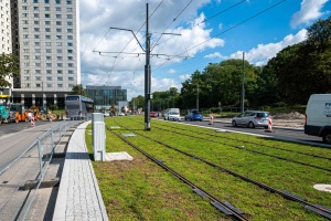 zielone torowisko