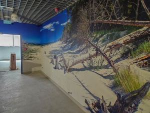 wnętrza powstającego saunarium
